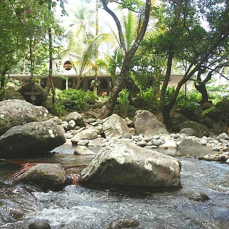 Вілла Citrus Creek Plantation La Plaine Екстер'єр фото