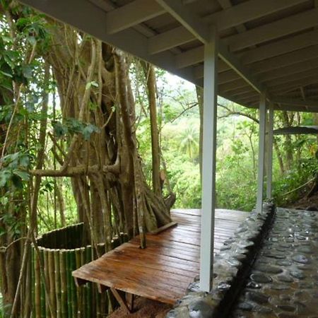 Вілла Citrus Creek Plantation La Plaine Екстер'єр фото