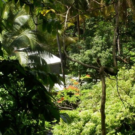 Вілла Citrus Creek Plantation La Plaine Екстер'єр фото