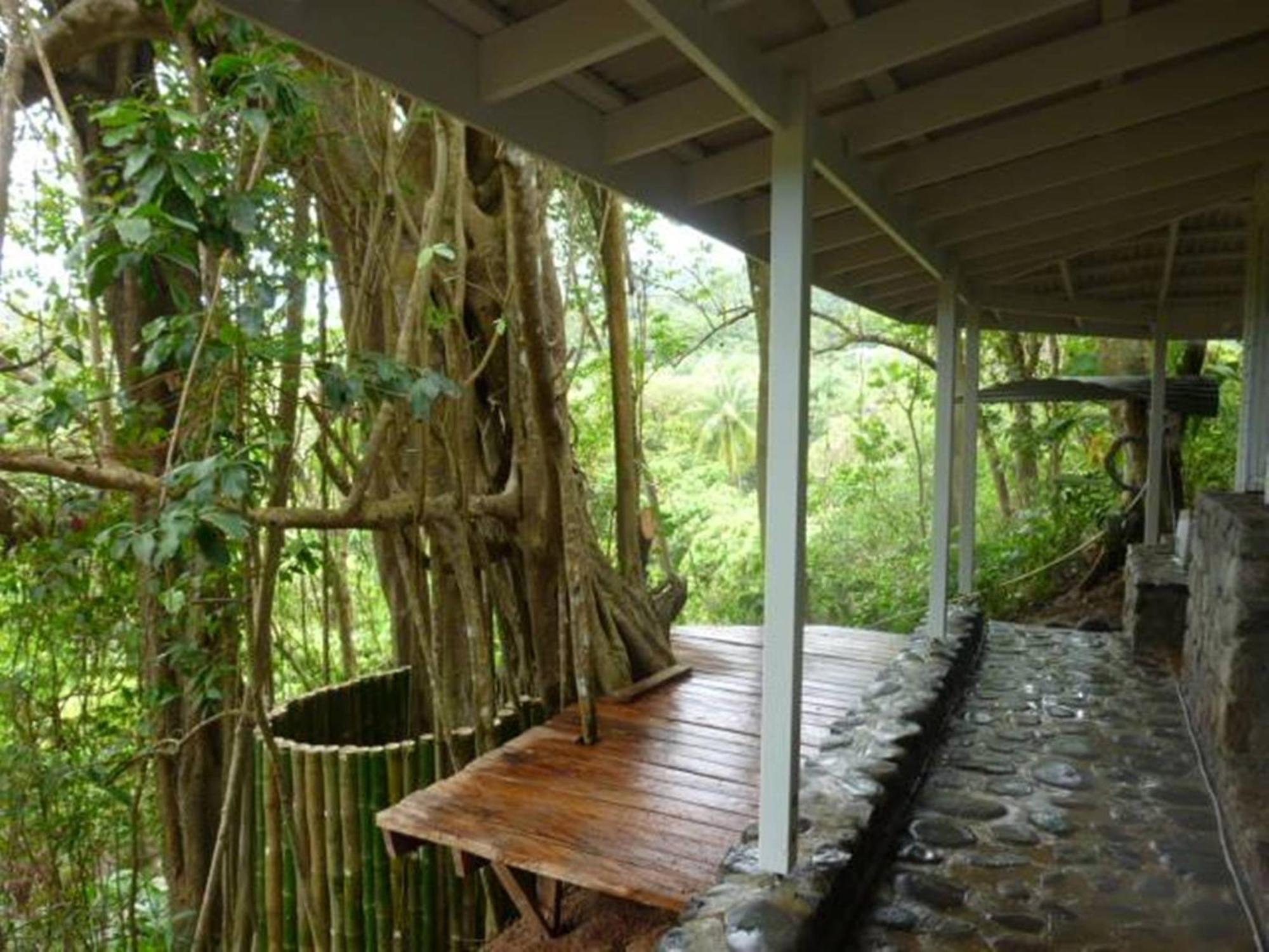 Вілла Citrus Creek Plantation La Plaine Екстер'єр фото