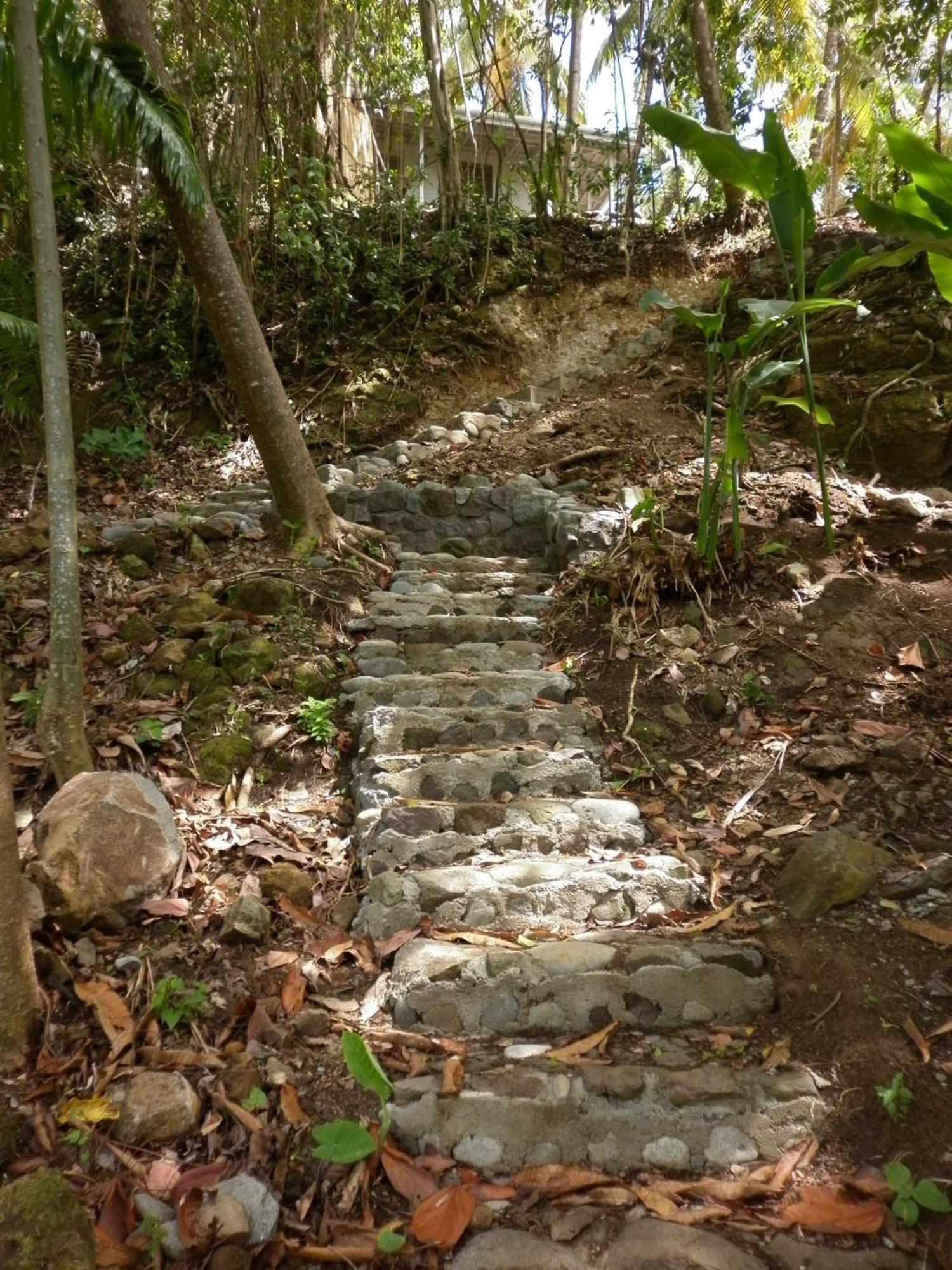Вілла Citrus Creek Plantation La Plaine Екстер'єр фото