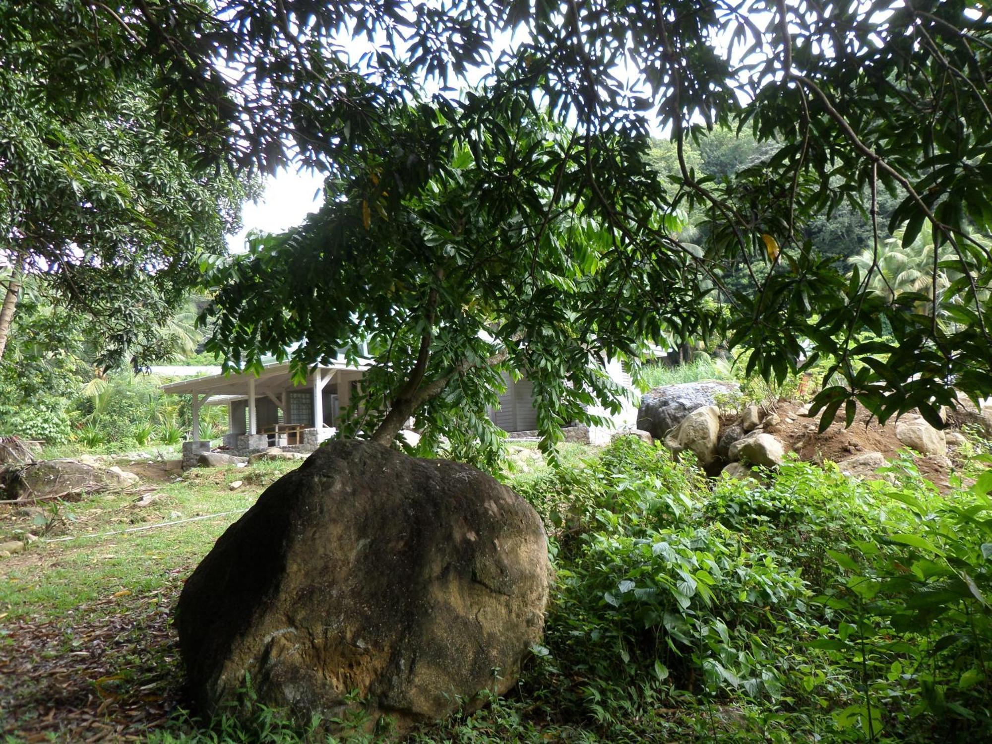Вілла Citrus Creek Plantation La Plaine Номер фото