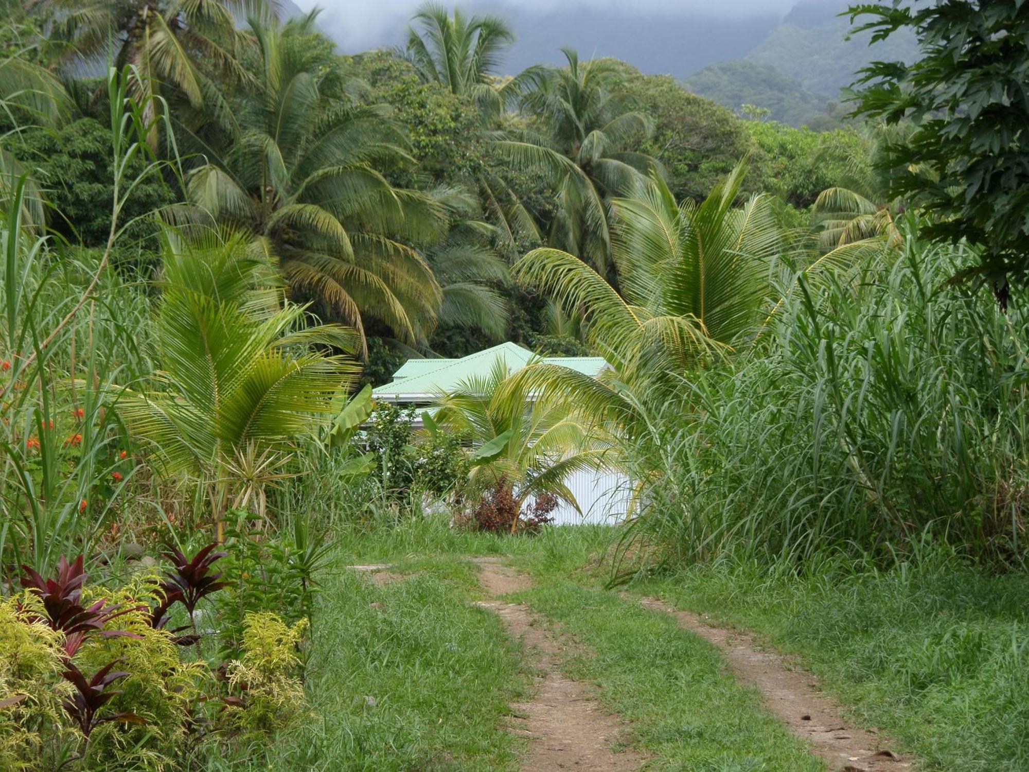 Вілла Citrus Creek Plantation La Plaine Номер фото