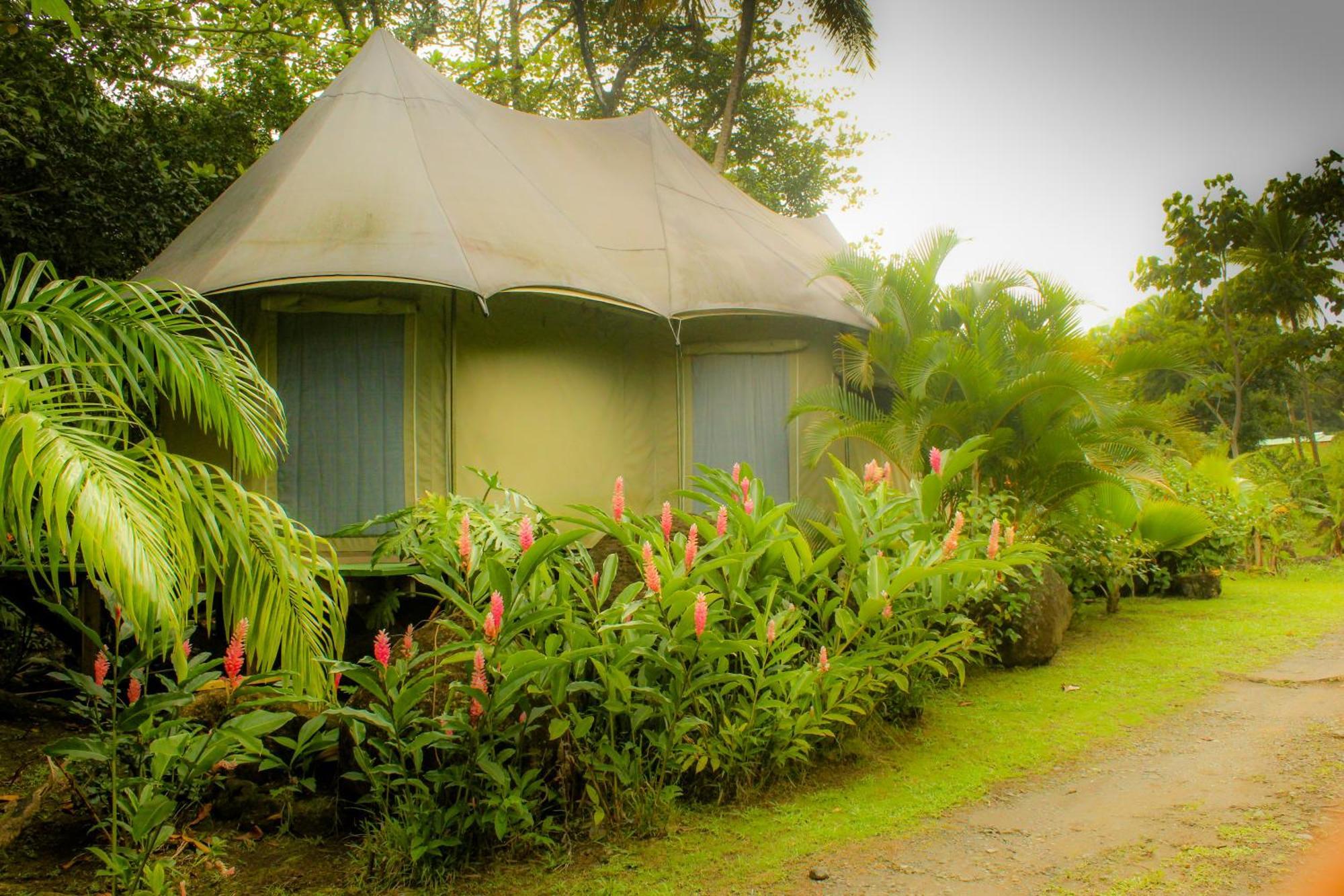 Вілла Citrus Creek Plantation La Plaine Номер фото