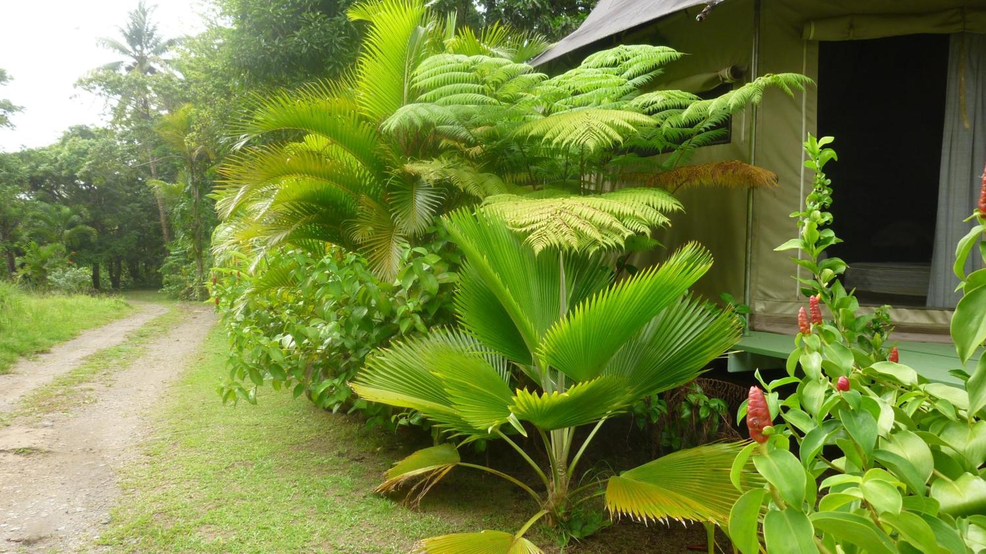 Вілла Citrus Creek Plantation La Plaine Номер фото