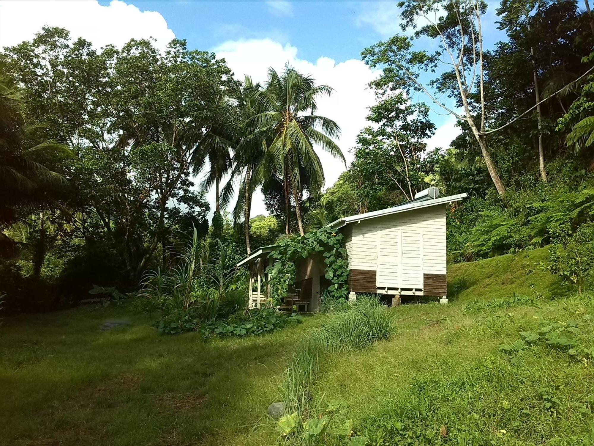 Вілла Citrus Creek Plantation La Plaine Номер фото