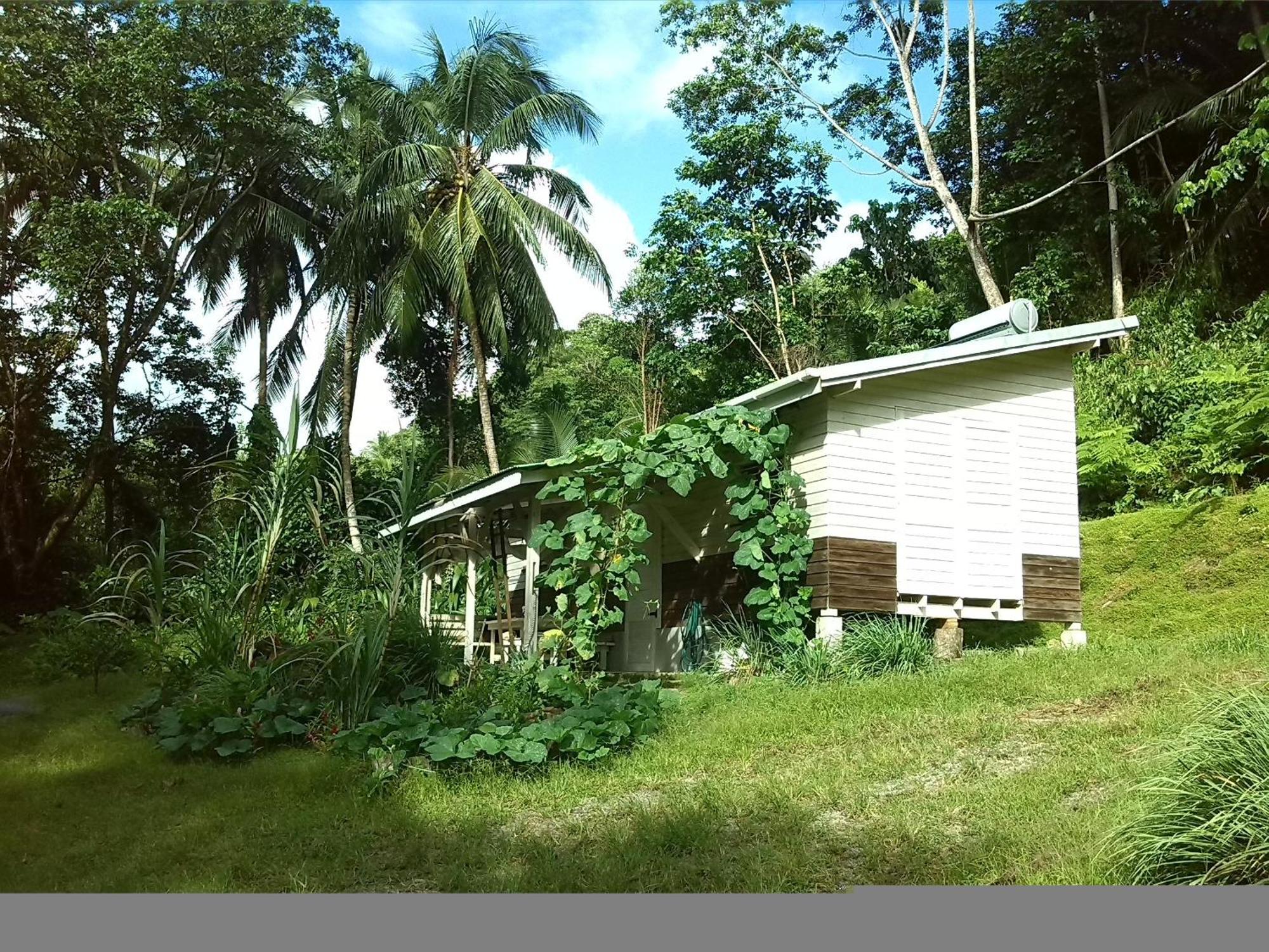 Вілла Citrus Creek Plantation La Plaine Номер фото