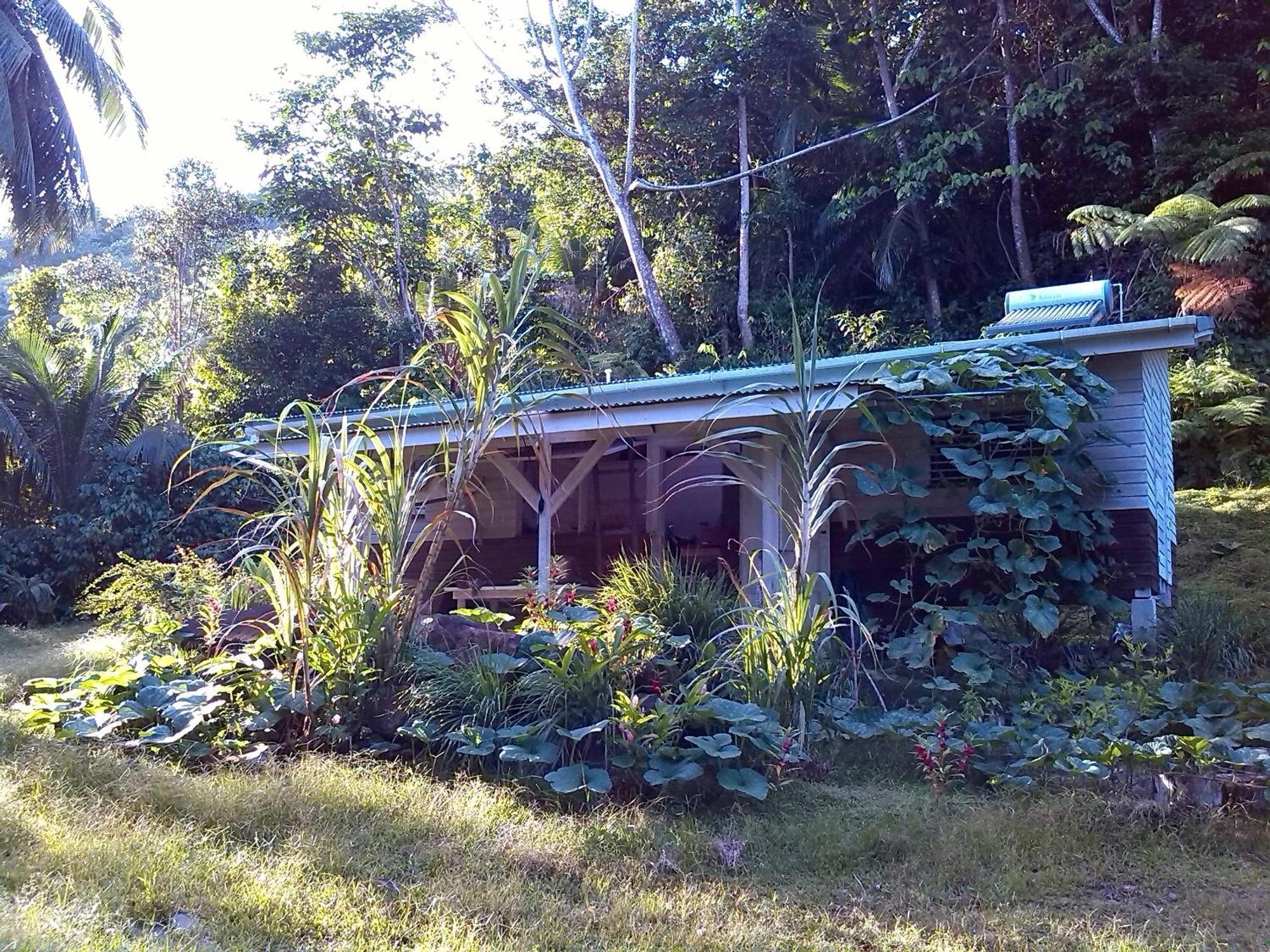 Вілла Citrus Creek Plantation La Plaine Номер фото