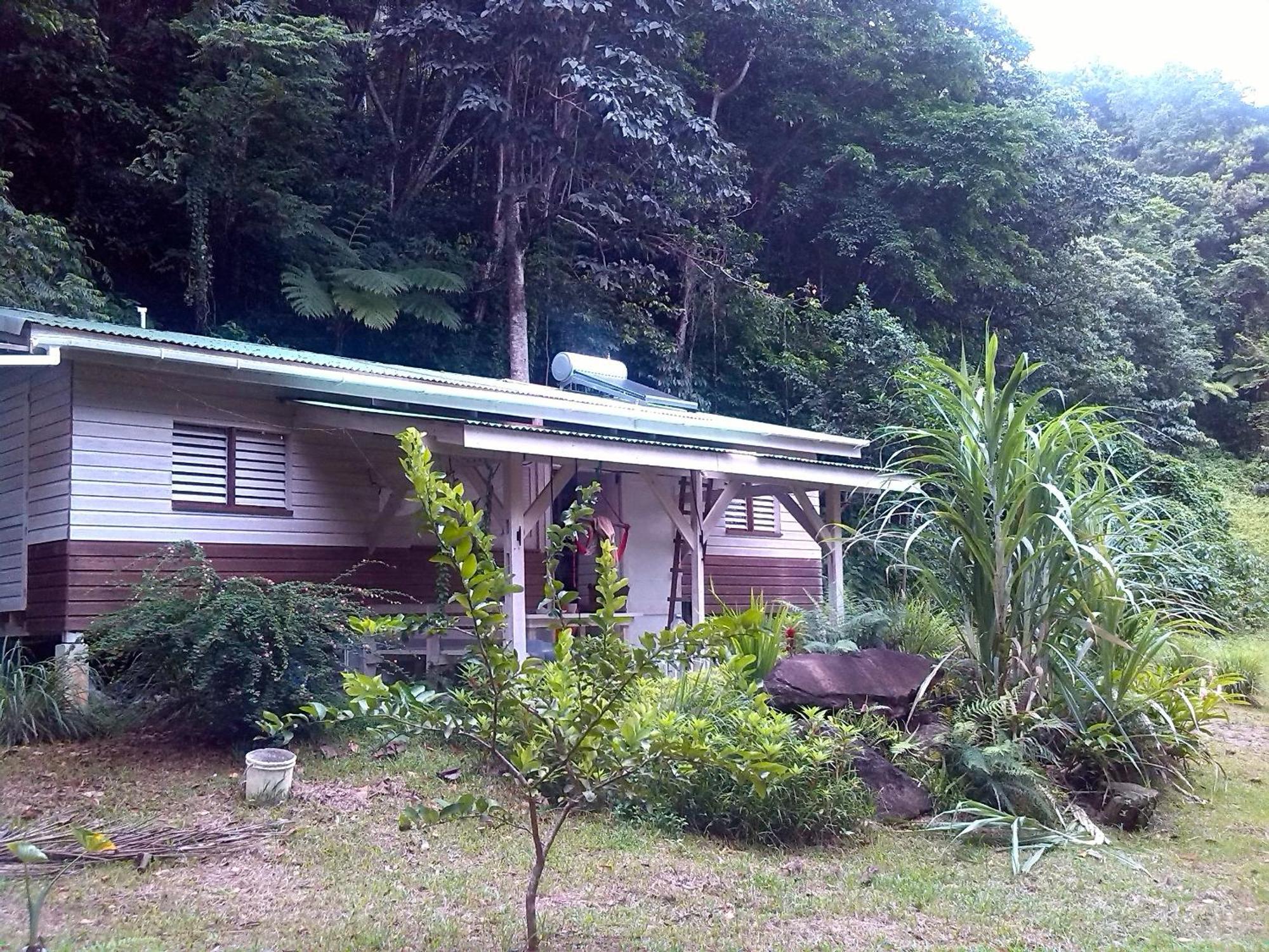 Вілла Citrus Creek Plantation La Plaine Номер фото