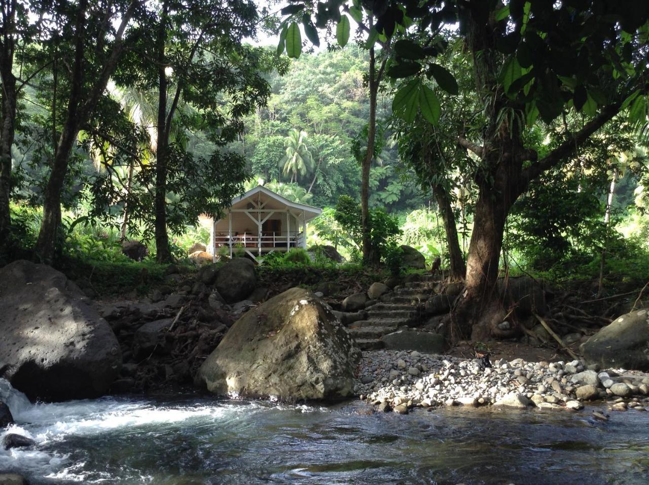 Вілла Citrus Creek Plantation La Plaine Екстер'єр фото