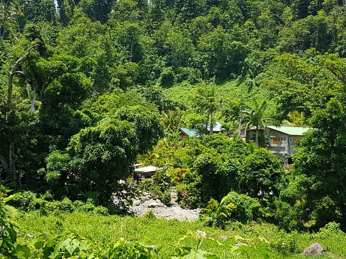 Вілла Citrus Creek Plantation La Plaine Екстер'єр фото